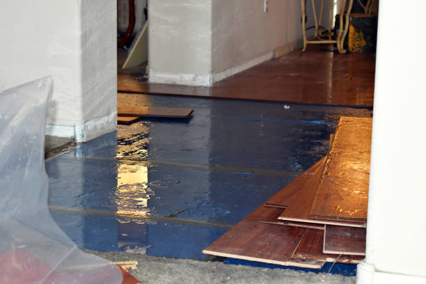 Professional Burst Pipe Cleanup technician working in Darlington, PA